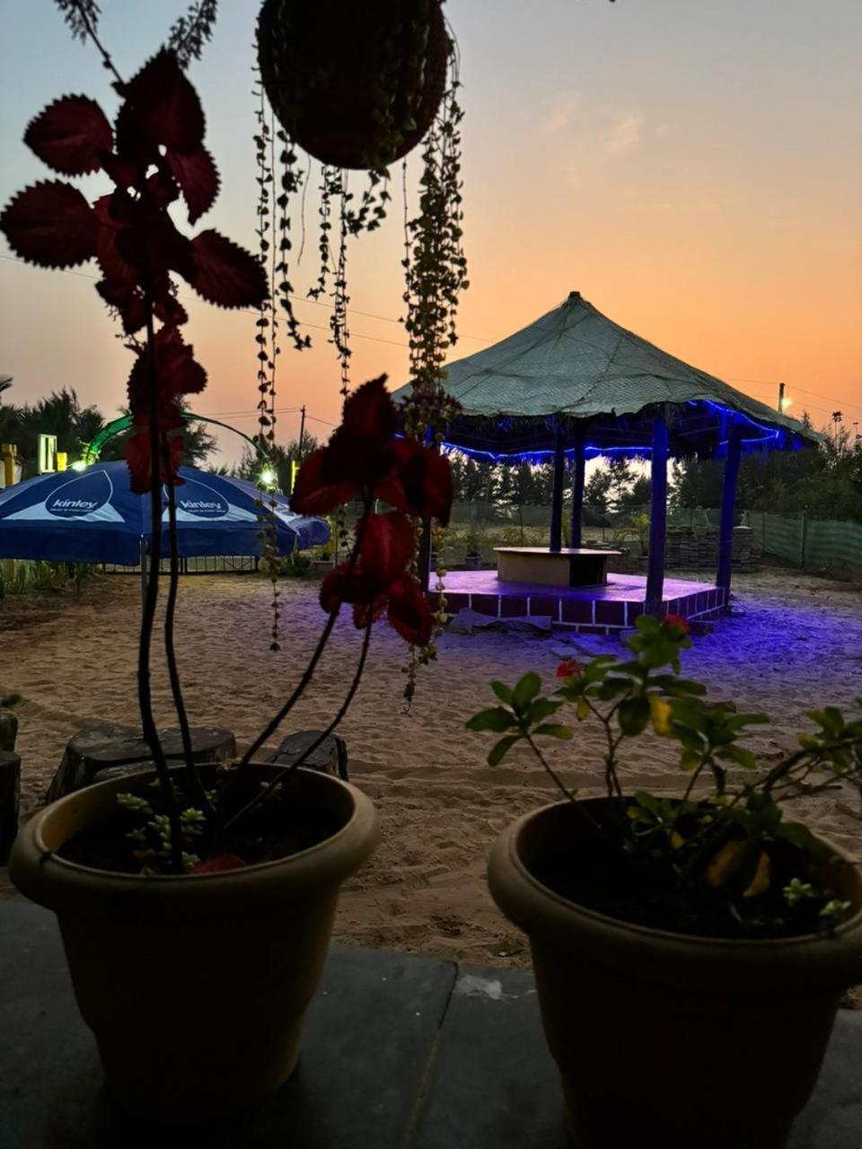 Turtle Beach House Vengurla ภายนอก รูปภาพ